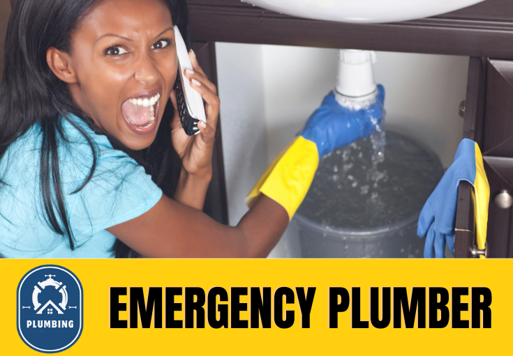 emergency plumber Medway