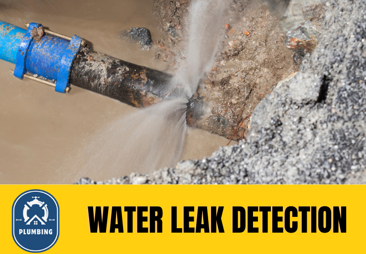 leak detection Medway